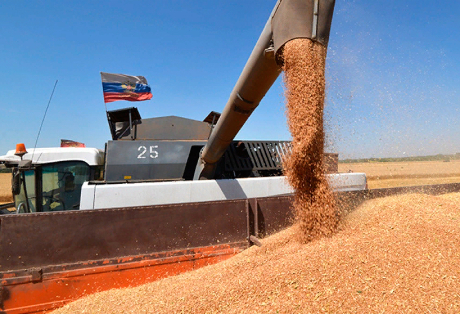 TASS: Armenia quiere rechazar el grano ruso por motivos políticos