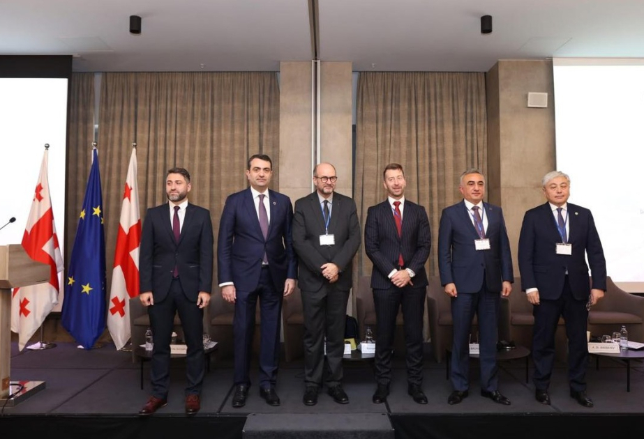 VK-nın nümayəndə heyəti Gürcüstanda beynəlxalq təşkilatlarla əməkdaşlığın perspektivlərini müzakirə edib