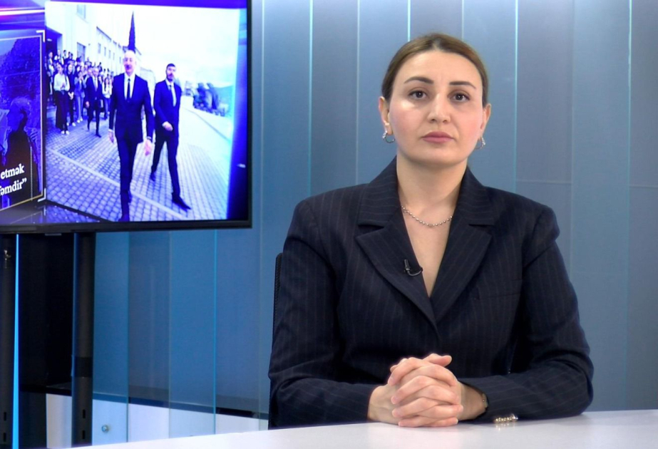 Azərbaycan Konstitusiyası cəmiyyətin institusional islahatları ilə paralel şəkildə sistemli inkişafı təmin edib - RƏY