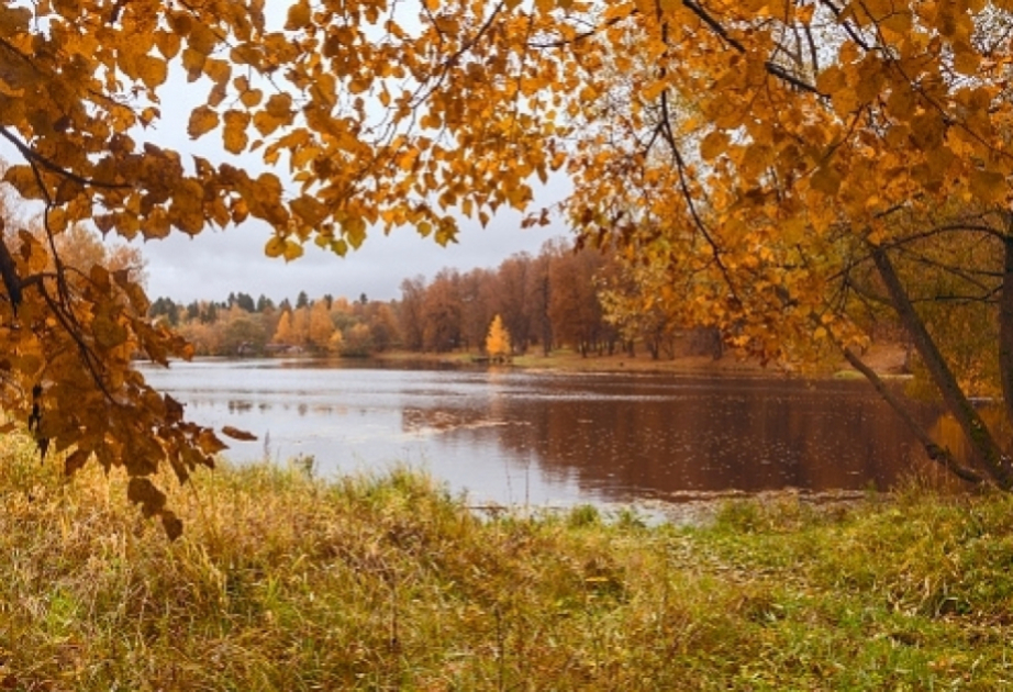 Завтра погода будет преимущественно без осадков, местами ожидается туман