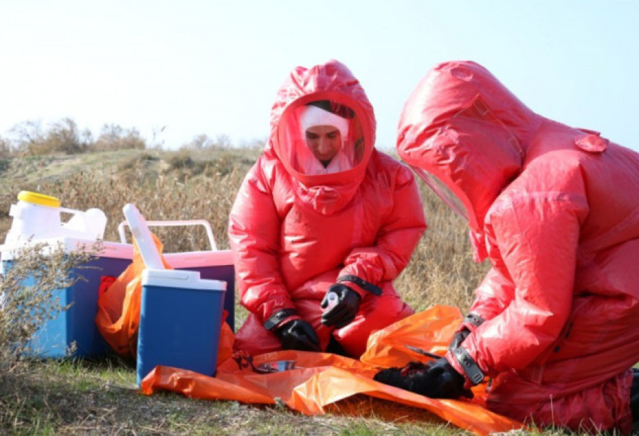 Будет проведен эпизоотологический мониторинг против птичьего гриппа