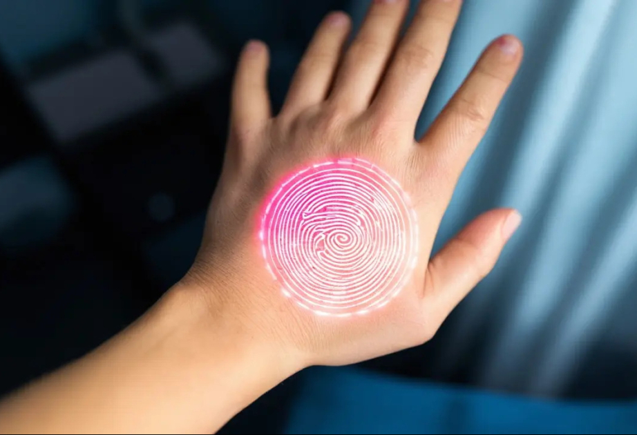 В Казахстане могут начать идентифицировать личность по рисунку вен на руках