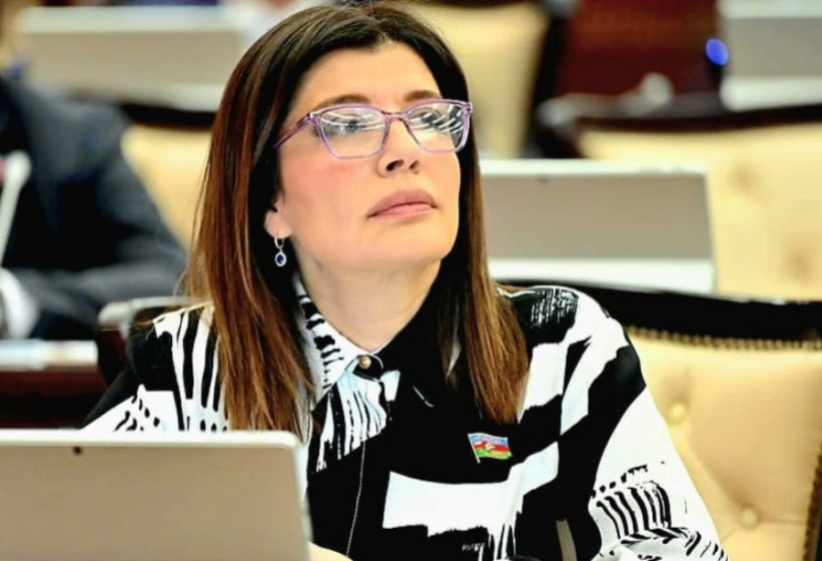 Günay Əfəndiyeva: Kino mütəxəssislərin hazırlanması və sahənin institusional şəkildə dəstəklənməsi vacibdir