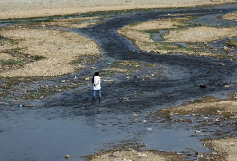 Иран борется с критическим за последние десятилетия водным кризисом