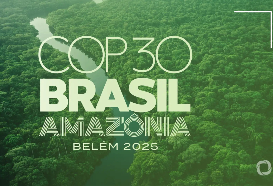 Почему интерес к конференции COP30 оказался ниже ожиданий? ВИДЕО