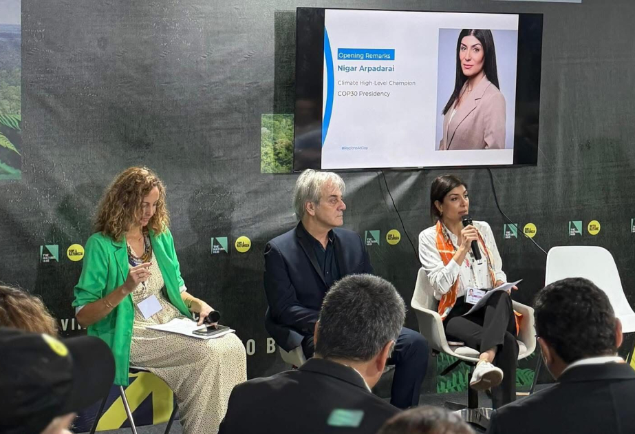 COP30-da Süni İntellekt üzrə İqlim İnstitutu təqdim edilib