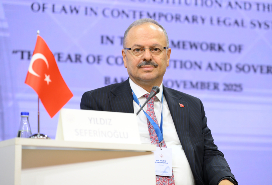 Yıldız Seferinoğlu: Azərbaycan və Türkiyə konstitusiyalarında ortaq dəyərlər, oxşarlıqlar və fərqliliklər var