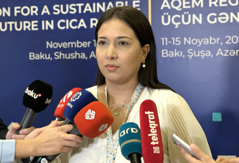 Nazirlik rəsmisi: AQEM-in Gənclər Şurasının iclasında 20-yə yaxın ölkənin gəncləri təmsil olunurlar