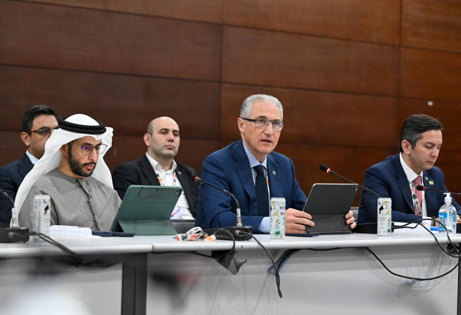 В рамках COP30 прошел ежегодный Диалог высокого уровня Бакинского центра действий в области климата и мира