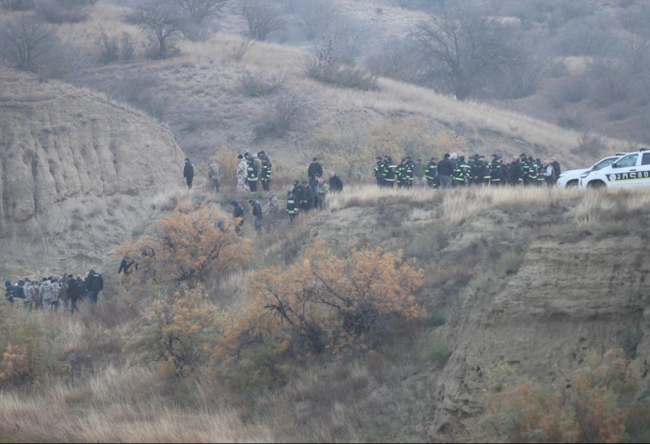 «Черный ящик» разбившегося в Грузии самолета C-130 доставлен в Турцию