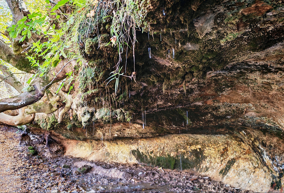 Damdschili-Quelle in Chodschali: Harmonie von Stein, Baum und Wasser VIDEO