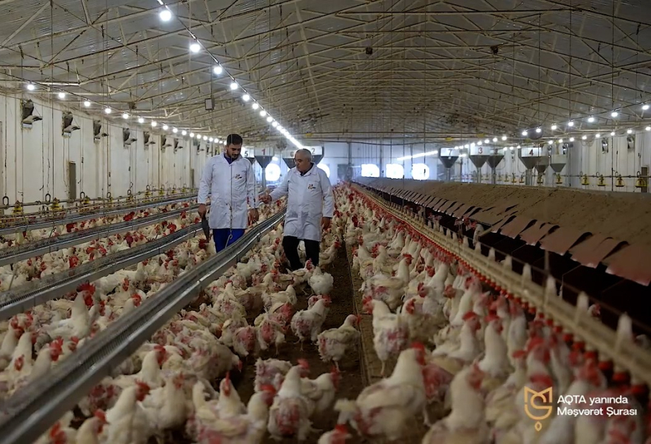 “Qida təhlükəsizliyi tək dövlətin deyil, hər kəsin işidir” kampaniyası çərçivəsində növbəti videoçarx təqdim edilib