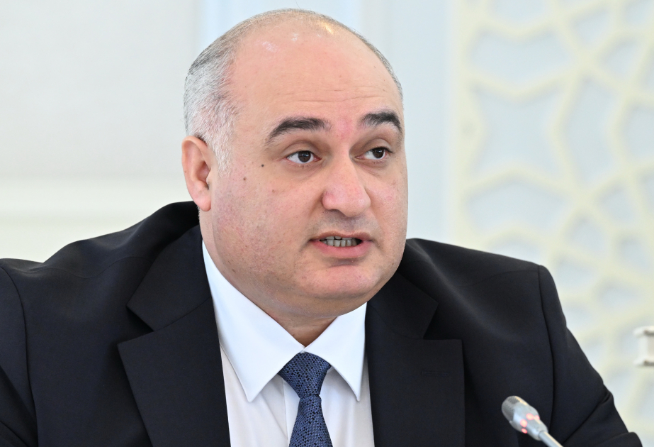 Nazir müavini: Gələn il üçün ailə, qadın və uşaq məsələləri üzrə 11,3 milyon manat vəsait nəzərdə tutulur