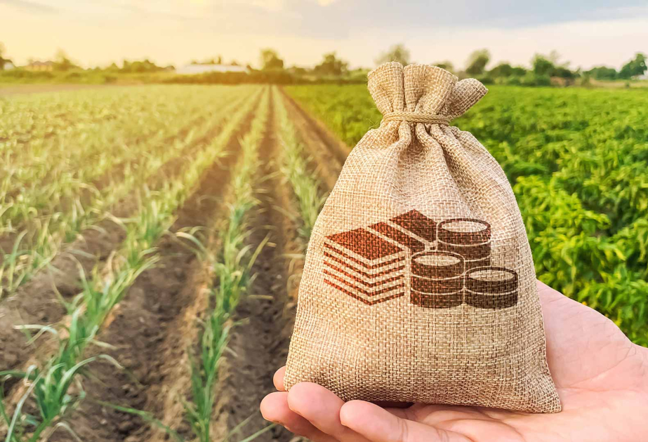 На сельскохозяйственные расходы в госбюджете на следующий год предусмотрено 1,2 млрд манатов