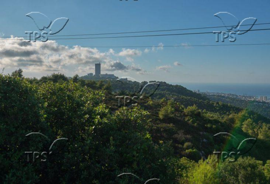 15,000-year-old bird bones reveal natufian hunting in Israel’s carmel caves