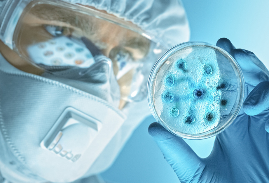 В Германии впервые за 30 лет обнаружен дикий полиовирус