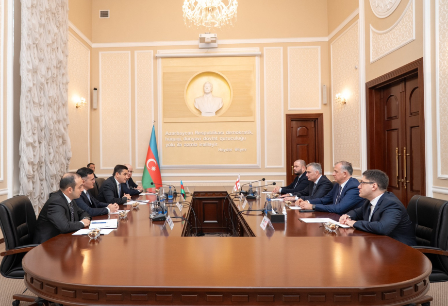 Azerbaijan’s Justice Minister discuss cooperation with his Georgian counterpart