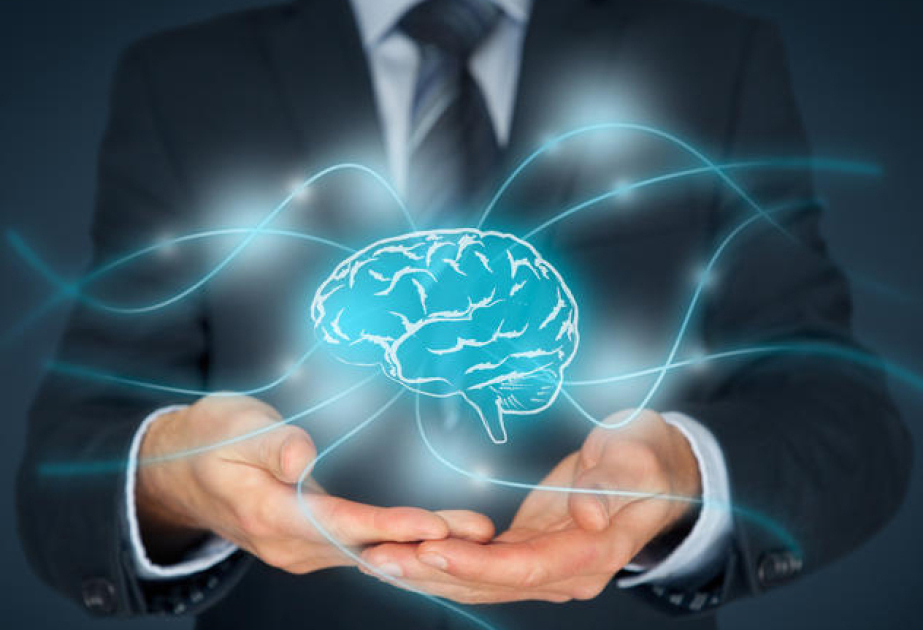 Государственная политика Азербайджана в сфере интеллектуальной собственности представлена в качестве примера