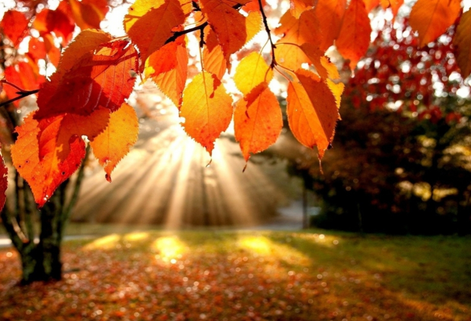 Погодные отклонения в столице становятся нормой? ВИДЕО