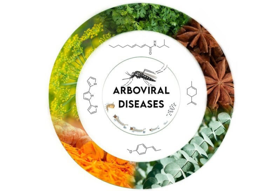 Cuban drugs for the control and prevention of Arboviruses