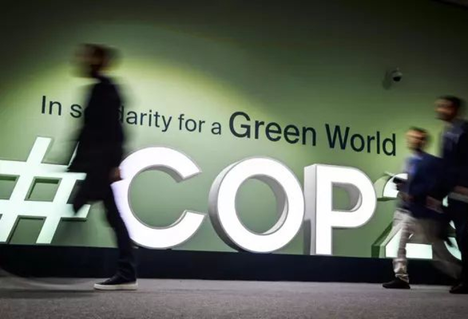 Belemdə COP31 sammitinə ev sahibliyi məsələsi hələ də açıq qalır