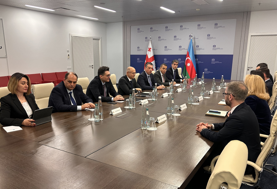 SOCAR Gürcüstana indiyədək 2 milyard dollardan çox investisiya yatırıb