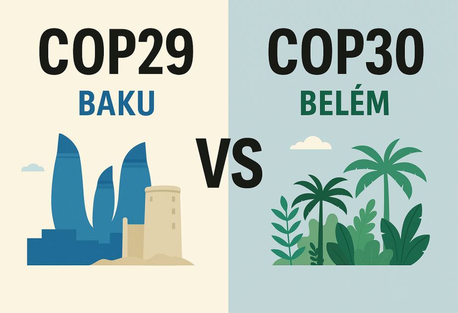 Analitik: COP29-la bağlı edilən tənqidlər, aparılan kampaniyalar bu gün real nəticələrin fonunda tamamilə iflasa uğrayıb