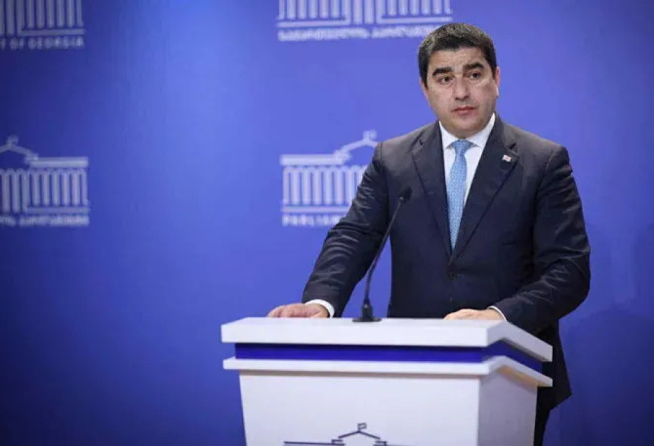 Gürcüstan parlamenti Almaniya XİN-dən izahat tələb edib