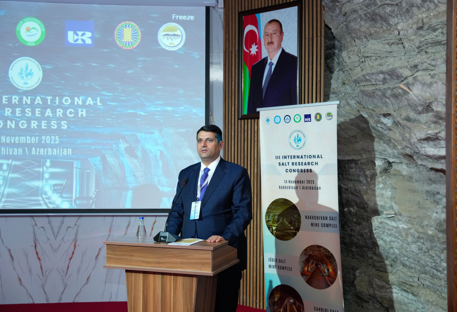 Naxçıvanda “III Beynəlxalq Duzdağ Araşdırmaları Konqresi” keçirilib