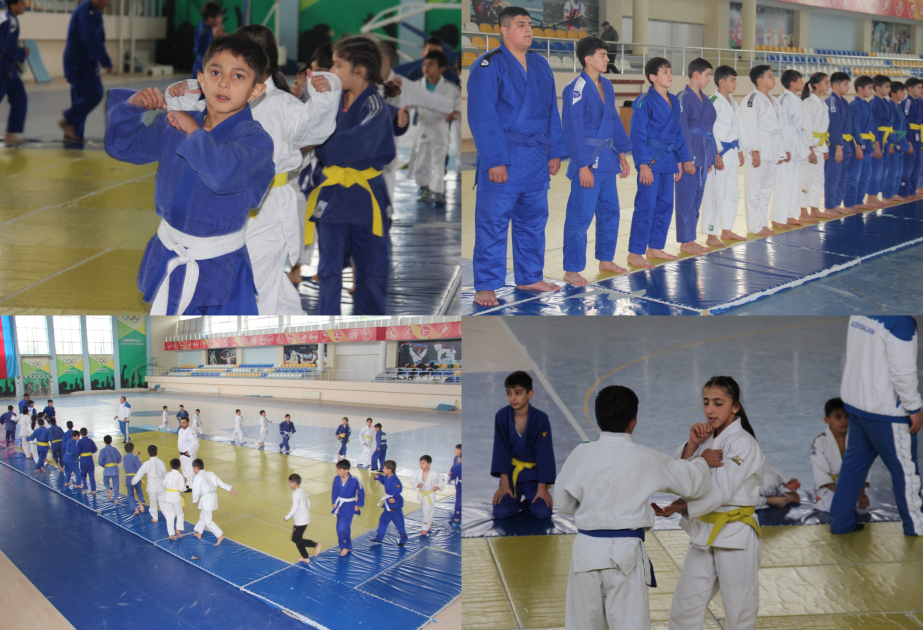 Исмаиллинская школа дзюдо: труд, вера и успех в одном пространстве РЕПОРТАЖ