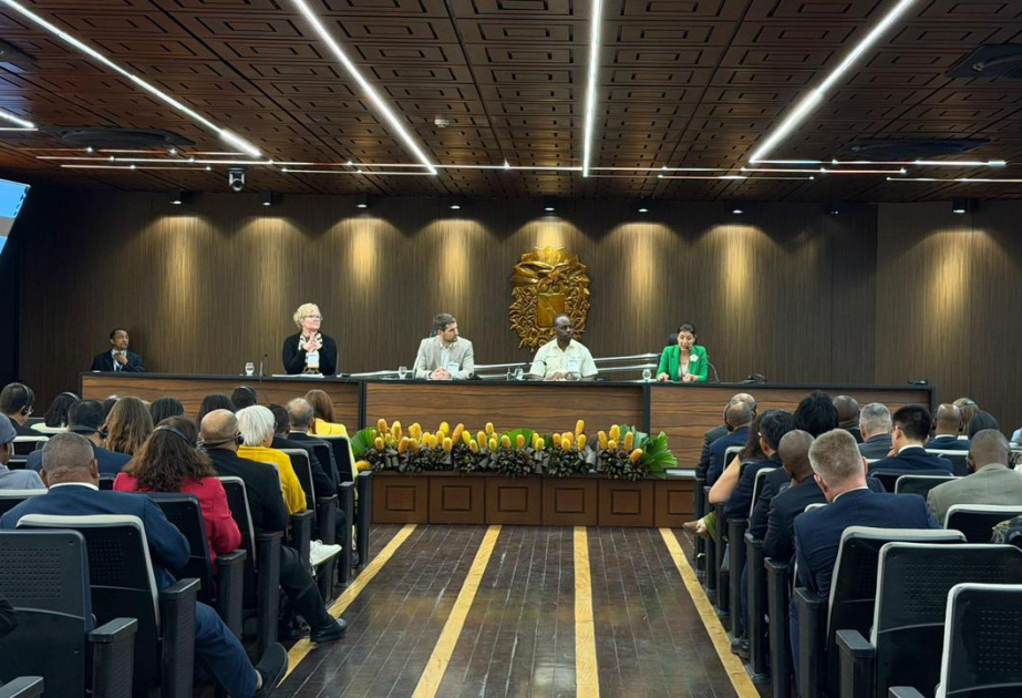 COP29 outcomes highlighted at parliamentary meeting in Belém