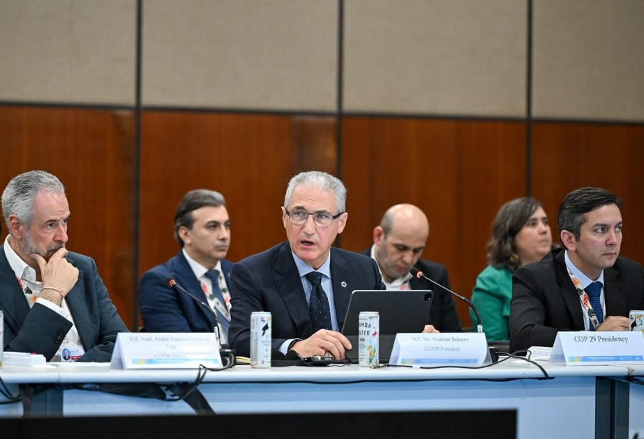 COP29 President shares Azerbaijan's experience of ensuring green energy transition and enhancing regional cooperation in Belém