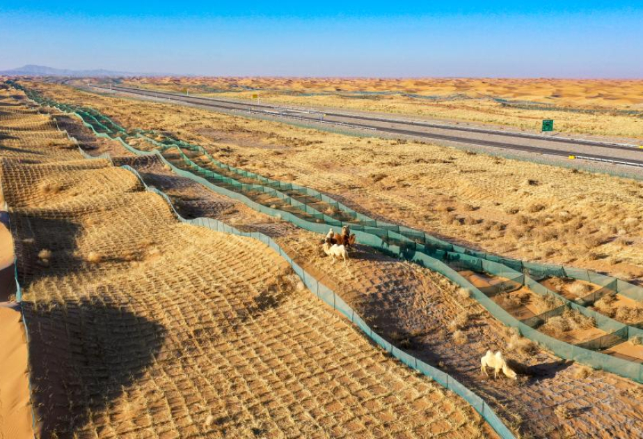 New study links water balance, plant growth to desertification control