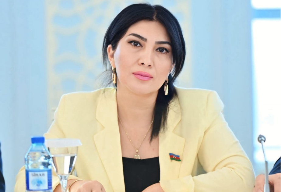 Elnarə Akimova: Ana dilini qorumaq həm mədəni m&uuml;barizə, həm də milli m&ouml;vqe tələb edir - AZƏRTAC