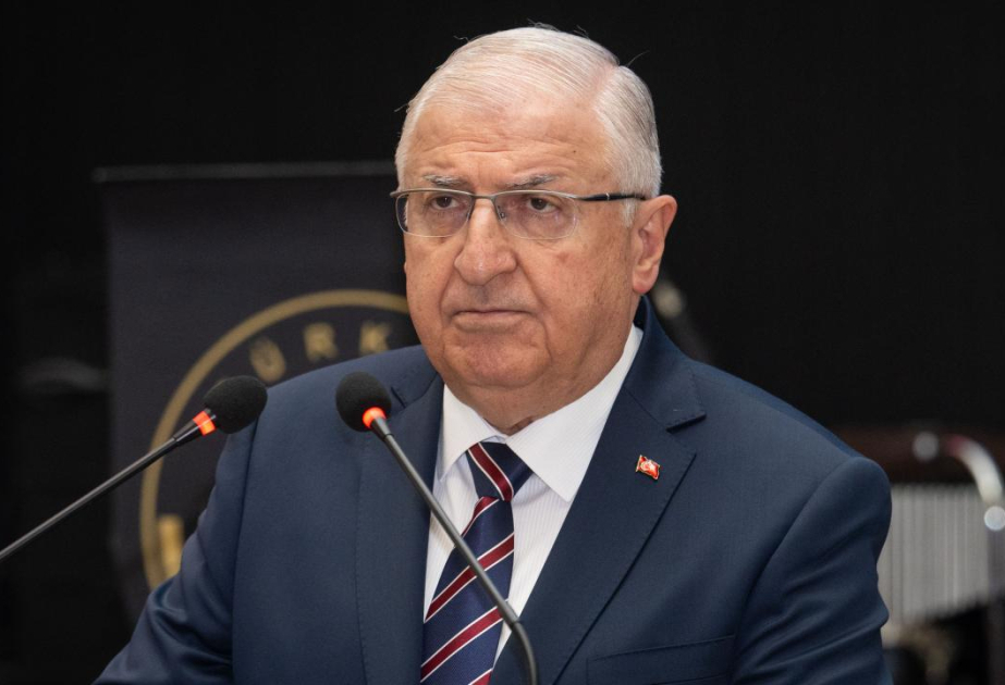 Black box analysis of Turkish cargo plane can take 2 months: Minister