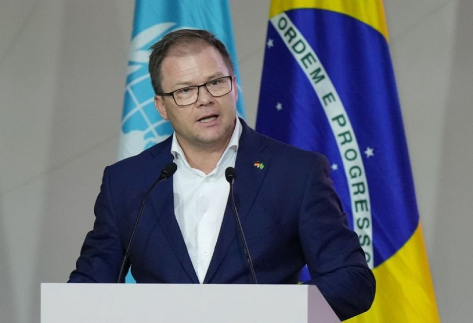 Almaniya iqlim fondu üçün əlavə 60 milyon avro ayıracağını bəyan edib