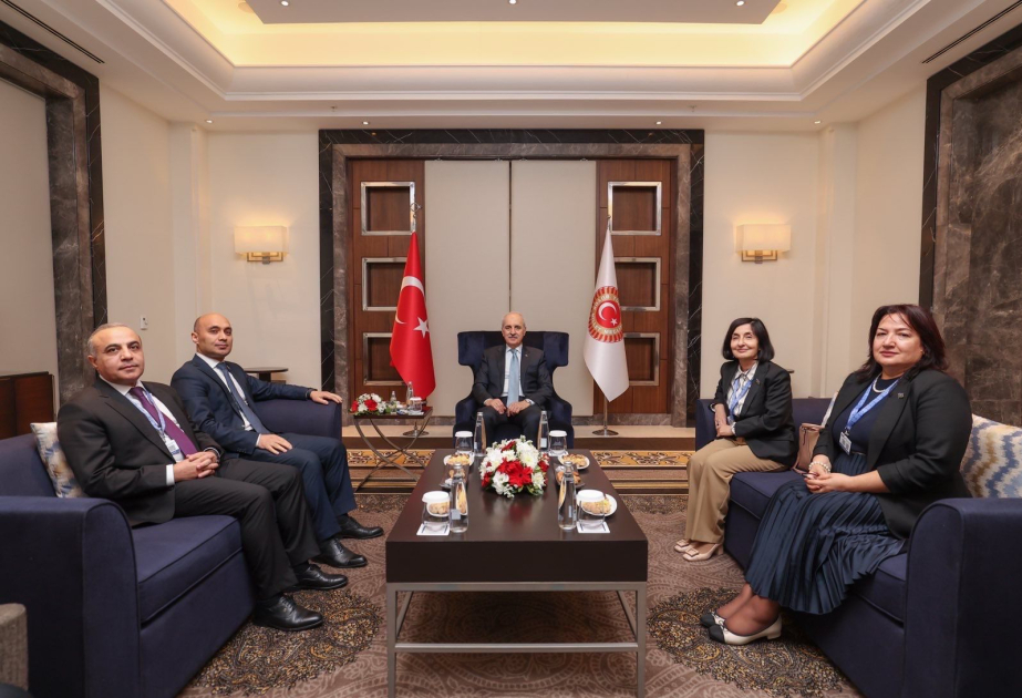 L'Azerbaïdjan est représenté à la session d'automne de l’AP de l'OSCE à Istanbul