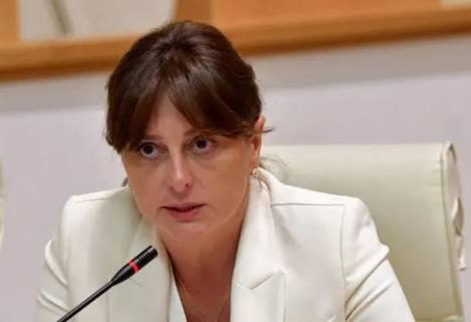 Maia Bitadze: Regional sabitlik və iqtisadi artım üçün real fürsət yaranır