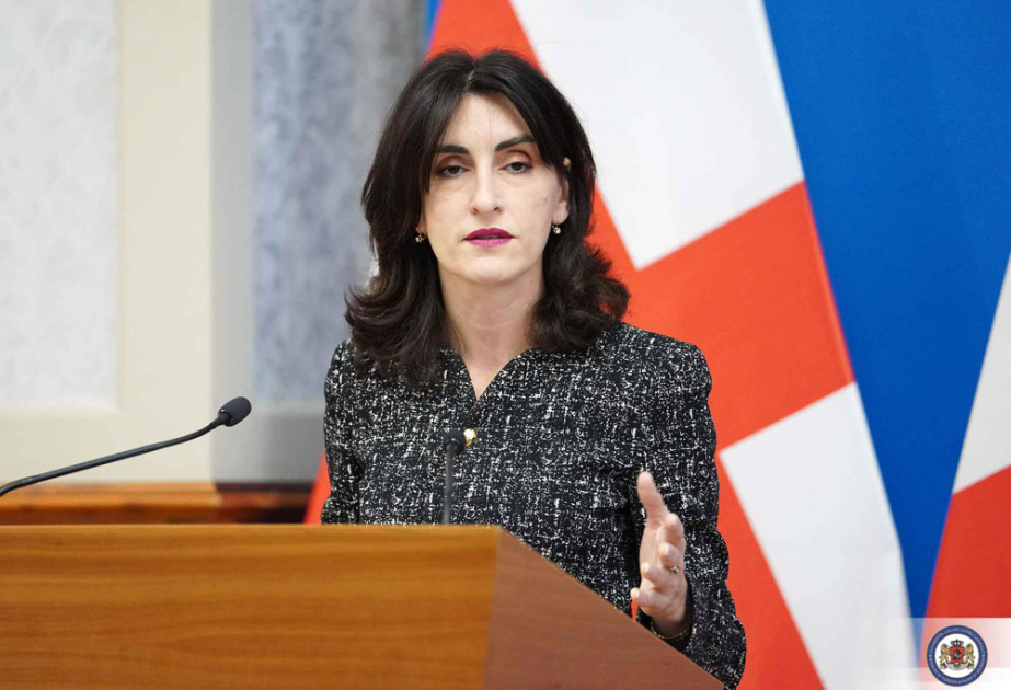 Maka Boçorişvili: Aİ ilə Gürcüstan arasında vizasız gediş-gəliş rejiminin dayandırılması üçün əsas yoxdur