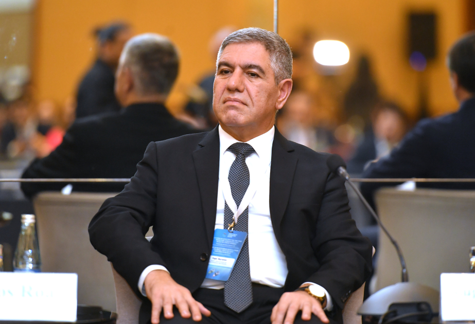 Vüqar Bayramov: Qarşıdakı illərdə Azərbaycanın qaz ixracının daha da artacağı gözlənilir