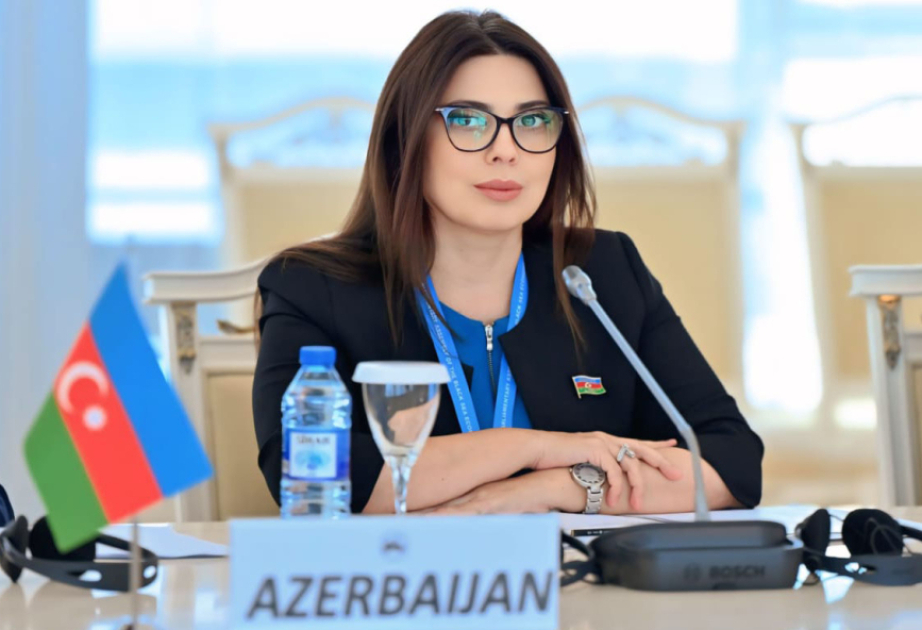 Azərbaycan ilə Mərkəzi Asiya dövlətləri arasında münasibətlər ən yüksək inkişaf mərhələsinə çatıb –  ŞƏRH