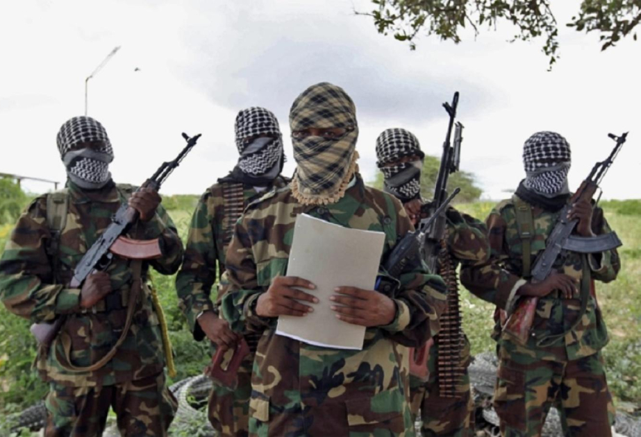 Somalidə terrorçu qruplaşmanın 11 üzvü öldürülüb