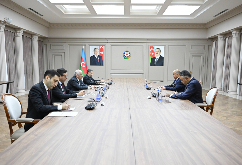 Azerbaijani PM meets with World Aquatics President
