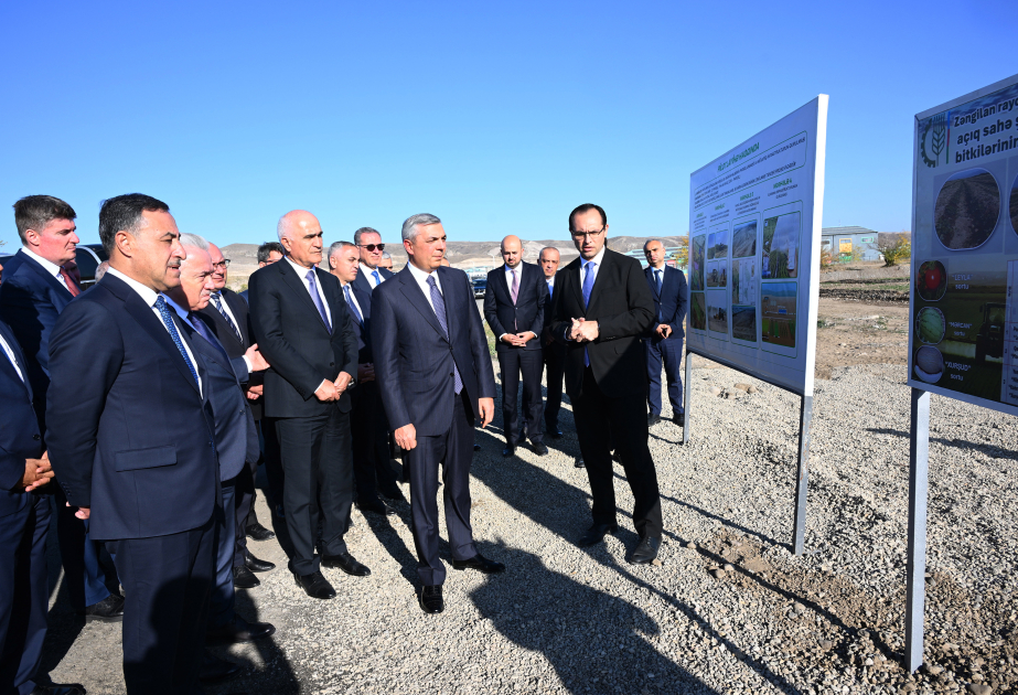 Inspeccionan las tierras agrícolas en la aldea de Aghalı