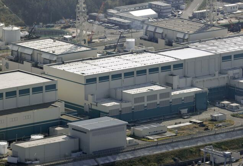Niigata gov. to OK TEPCO's 1st nuclear plant restart since Fukushima