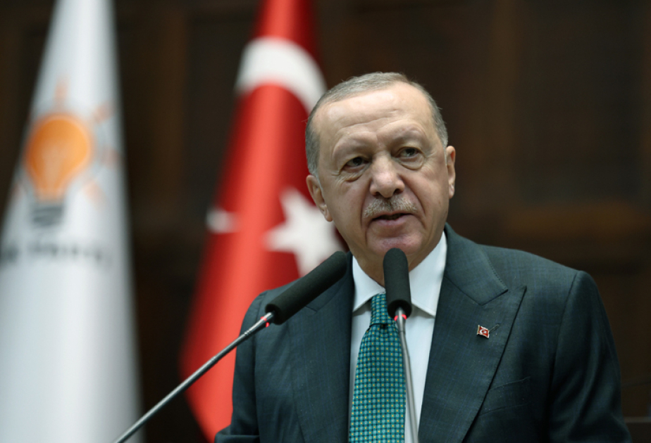 Prezident Ərdoğan: Türkiyə təyyarəsinin qəzaya uğraması ilə bağlı hərtərəfli araşdırma davam edir
