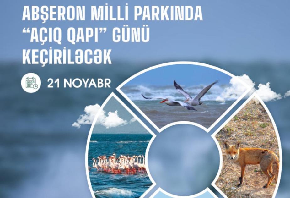Nazirlik: Noyabrın 21-də Abşeron Milli Parkına giriş ödənişsiz olacaq