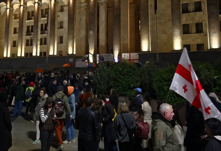 Tbilisidə keçirilən aksiyada 13 nəfər saxlanılıb