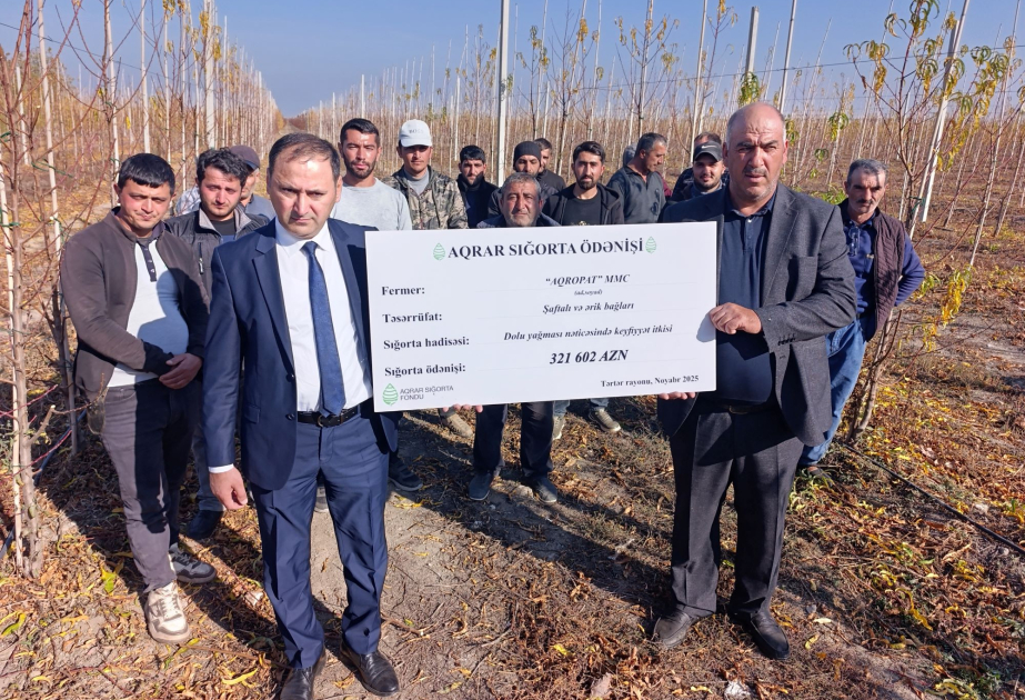 Azərbaycanda ilk dəfə meyvənin dəyərinin azalması üzrə aqrar sığorta ödənişi edilib