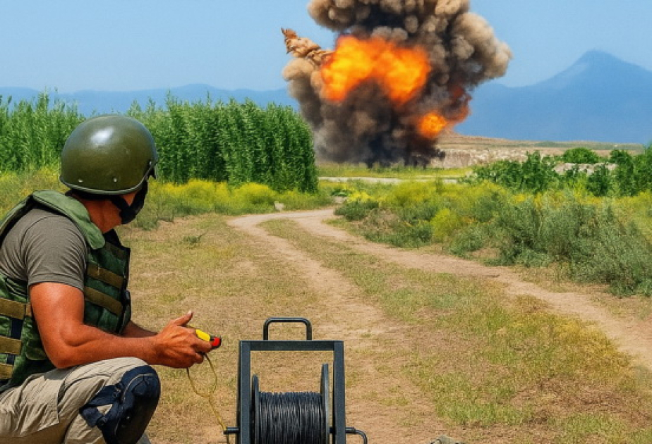 Centro de Análisis de Relaciones Internacionales publica informe sobre la problemática de minas